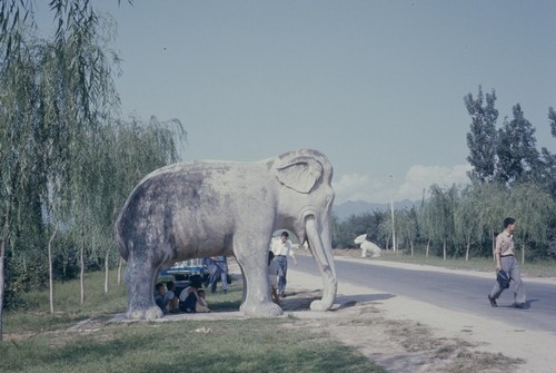 Ming Tombs Sacred Way, stone elephant (1 of 2)