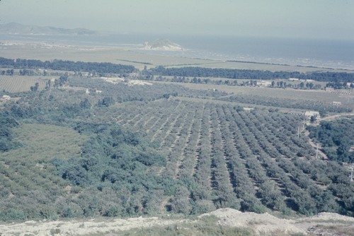 Fields and coastline from elevation (1 of 2)