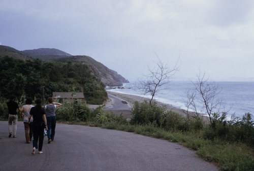 Road to the sea