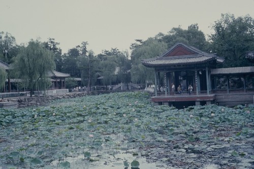 Summer Palace, Garden of Harmonious Pleasures (1 of 3)