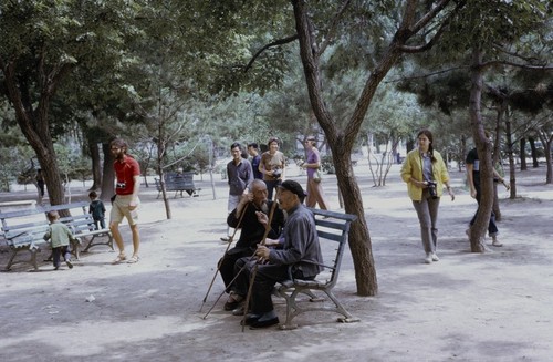 Americans strolling in a park