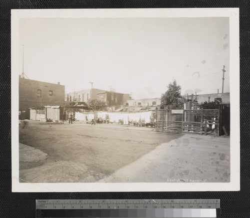 East of 319 Napier St