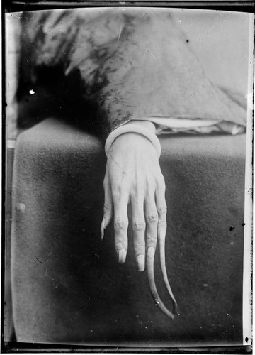 Detail of a hand with very long nails