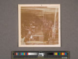Lugo family papers, box 4, folder 2, Photographs--Miscellaneous 1945-1970