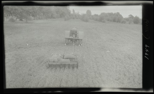 Towner Disc - very short hinge arms, Davis, California (Stubble)