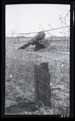 Fence Posts, Stanley Rogers Place