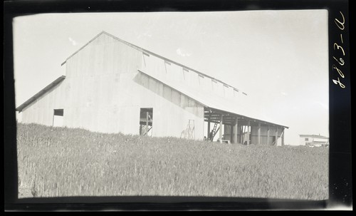 Milk House Interior, P.S. and R.L. Morehead ranch, Sutter City (a)