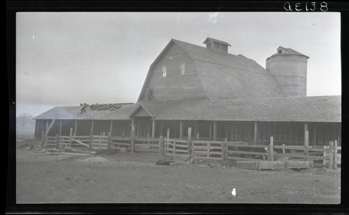 Steer Feeding Barn, Iowa