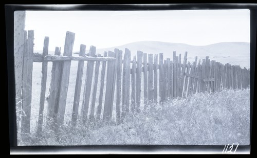 Redwood Stake House, Sonoma County, west of Petaluma, California