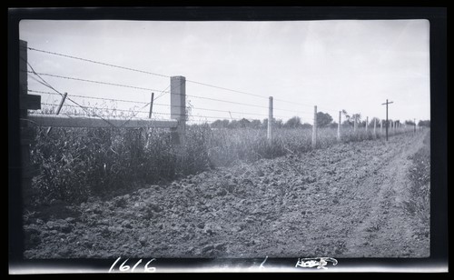 Concrete Fence Posts, Dick Bros Ranch, Yolo