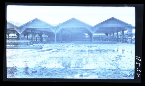 Dairy Cattle Corral Shelter, University Farm