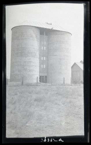 Harvesting Grain in Bulk, Fred Harvey - Galt, California(a)