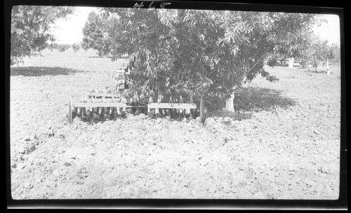 Harrows, University Farm