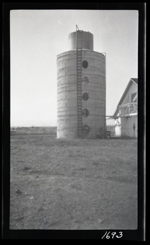 20' x 48' (?) Monolithic Silo, Near Newman, California