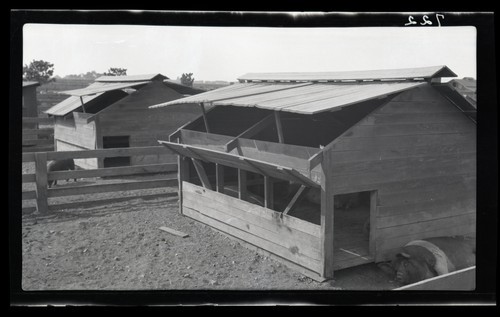Hog House, University Farm, Davis