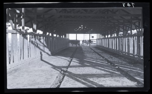 Dairy Barn Equipment