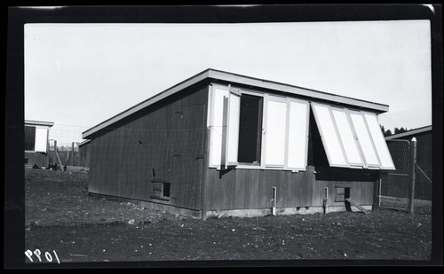 University Type Poultry House, University Farm