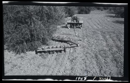 Towner Disc Harrow With Long Hinge Arms, Davis, California, Olive Orchard