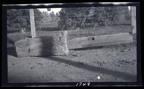 Fence Post, University Farm, Davis