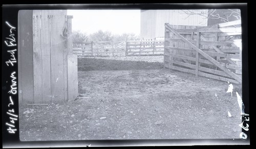 Farm Sanitation, Irvin Ranch, west of Davis