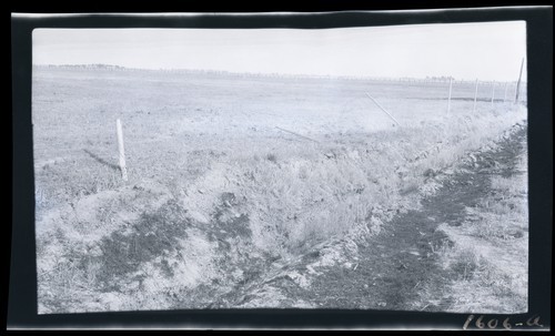 Steel Fence Posts, G.N. Merritt Ranch - 3 miles north of Davis on Woodland Highway (a)