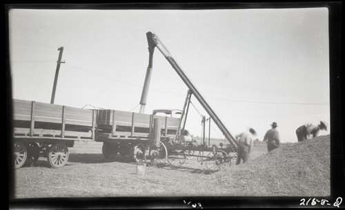 Elevator and Farm Storage, Thaxton Ranch, Grimes, California (d)