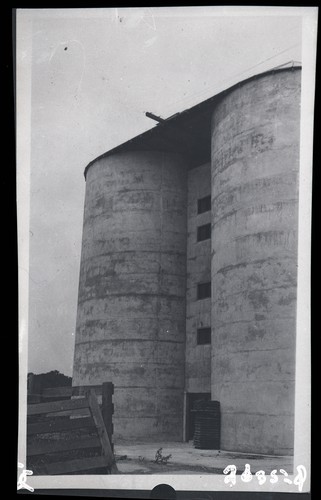 Harvesting Grain in Bulk, Fred Harvey - Galt, California (d)