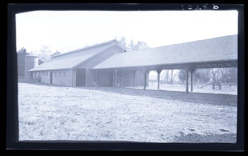 Milking Barn and Shelter Shed, Regent Foster's Ranch