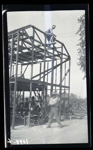 Frame of Poultry Feed House