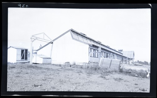 Poultry House, Burton (H.S. agr. teacher), Santa Cruz