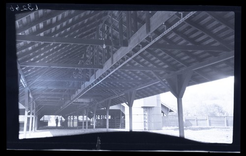 Roof Trusses - Framing, Regent Foster's Ranch, Hopland