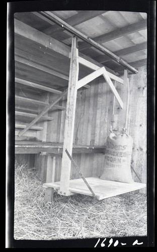 Poultry House Interior and Feed Corner, Fred Smith Poultry Ranch, Davis