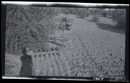 Towner Disc Harrow with Long Hinge Arms, Davis, California, Olive Orchard