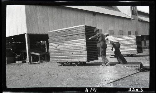 Walnut Dehydration, Anderson Barngrover Orchard, Linden