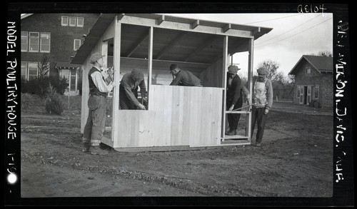 Poultry Houses, University Farm, Davis, California