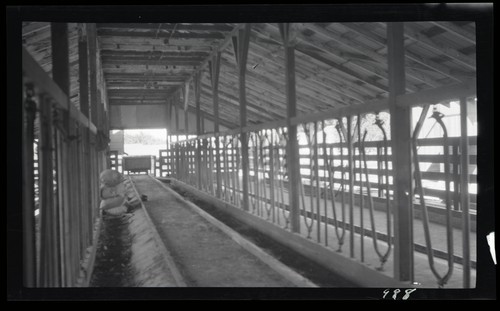 Milking Barn, Dairy ranch by Highway to Guadalupe, Santa Barbara, Ca