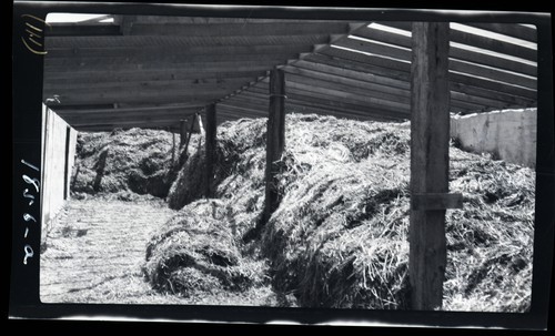 Manure Pit, Roy Baker Ranch, Saugus, Los Angeles County