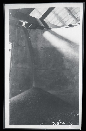 Harvesting Grain in Bulk, Fred Harvey - Galt, California (g)