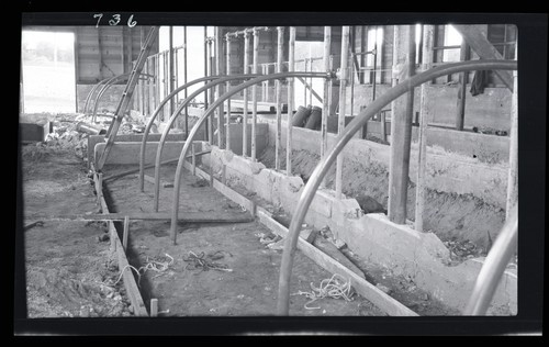 Dairy Barn Equipment