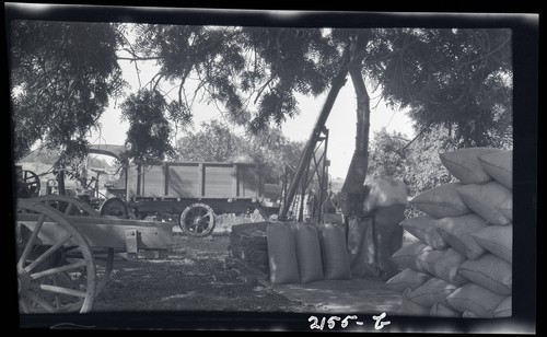 Elevator and Farm Storage, Thaxton Ranch, Grimes, California (b)