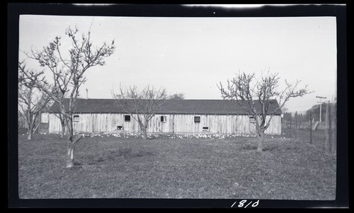 Brooder House, near Cotali on road to Petaluma