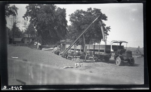 Elevators and Farms Storage, T.A. Kilkenny, Dixon (e)