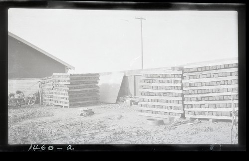 Preservative Treatment of Fence Posts, University Farm