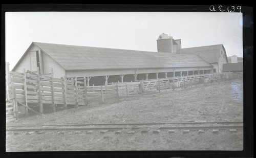 Steer Feeding Barn, Iowa