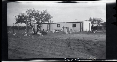 Adobe Brick Poultry House