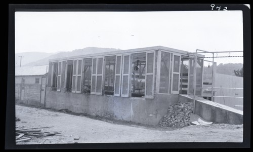 Manure Pit, Napa State Hospital