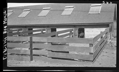 Hog Houses, S.S. Rogers Ranch, Davis