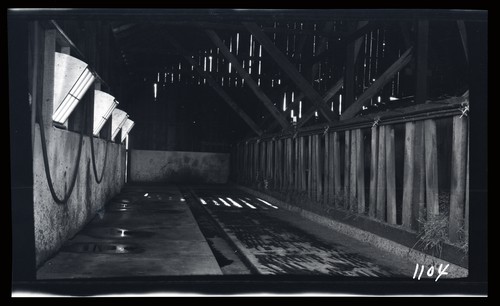 Milking Barn, T.L. Rancy Ranch - 2 miles north Davis