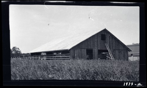Dairy Shelter and Feed Barn, Baxter Dairy, Durham, California (a)