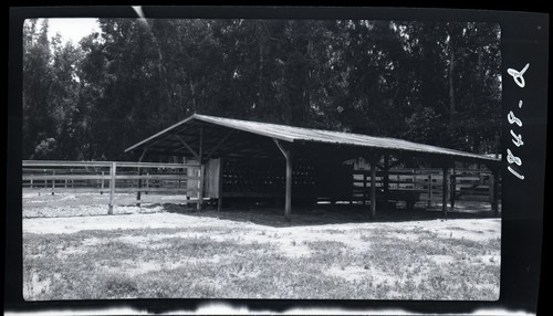 Complete Dairy Unit, Walter Dupee Ranch, Riverside, Cal. (d)